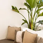 Sunsal Luxury - Sky Semesterbostad